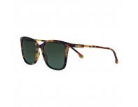 Sunglasses Zippo, unisex, polycarbonate frames, brown (OB143-04)