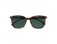 Sunglasses Zippo, unisex, polycarbonate frames, brown (OB143-04)