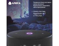 Колонка умная Яндекс Станция Мини 3 на YaGPT, модель YNDX-00027 (черный)