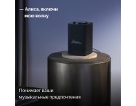 Smart speaker Yandex Station Max with Zigbee, YNDX-00053 (black)
