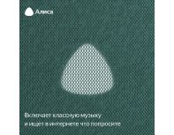 Колонка умная Яндекс Станция Макс с Zigbee, модель YNDX-00053 (зеленый)