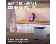 Колонка умная Яндекс Станция Миди c Zigbee, модель YNDX-00054 (черный)