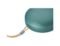 Акустика портативная Bang&Olufsen Beosound A1 3rd Gen зелёный эвкалипт
