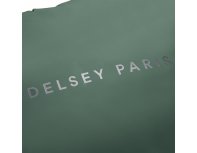 Рюкзак Delsey Turenne Soft, 40x46x14 см, зеленый (00163262013)