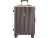 Чемодан Echolac Dynasty Vlx, 46,5x67,5x26 см, коричневый (1125T1301186240)