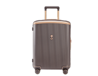 Чемодан Echolac Dynasty Vlx, 39x55x21 см, коричневый (1125T1301186200)