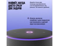Колонка умная Яндекс Станция Мини 3 Про Zigbee, 18Вт, с Алисой на YaGPT, черный (2117512)