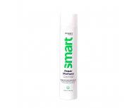 Shampoo for damaged hair Dewal Cosmetics Repair Shampoo 300 ml
