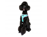 Шлейка для собак Doog Neoflex Rin Tin Tin, бирюзовый с розовым кантом, S (HARTIN-S)