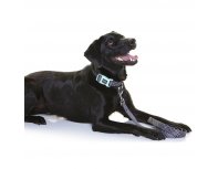 Leash for dogs Doog Pongo black with white specks, L, 130x2.5 cm RA-325247