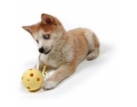 Dog toy Petit Milo, yellow RA-325333
