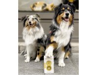 Toy for dogs Petit Coco yellow RA-325328
