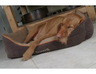 Лежак для животных с бортиками Scruffs Thermal Box Bed коричневый, 60х50х19 см RA-325117