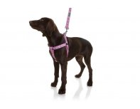 Harness for dogs Doog Toto, pink with pattern, M, 45-75 cm (HARPBS-M)