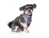 Dog harness Doog Neoflex Odie, gray-yellow, S, 32-44cm