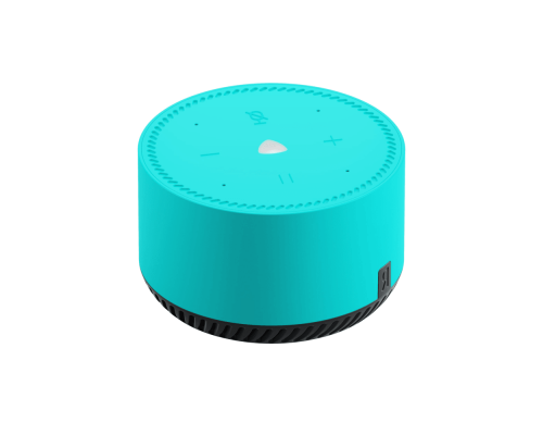 Voice cheap smart speaker