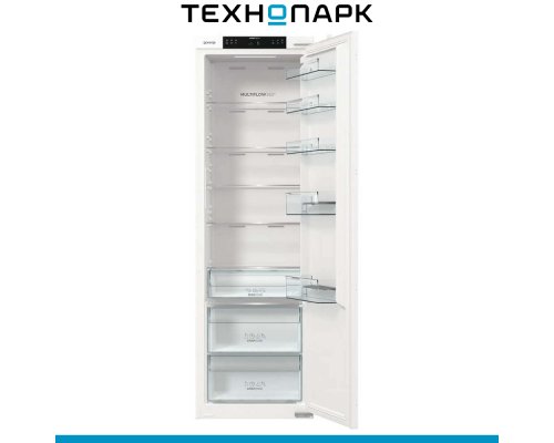Built-in refrigerator Gorenje RI517E41WF