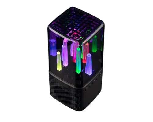 Wireless speaker with backlight Indivo citySound, black (13930.30)