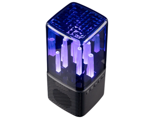 Wireless speaker with backlight Indivo citySound, black (13930.30)