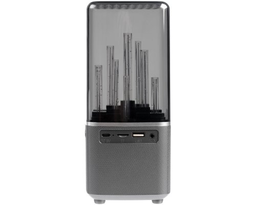 Wireless speaker with backlight Indivo citySound, black (13930.30)
