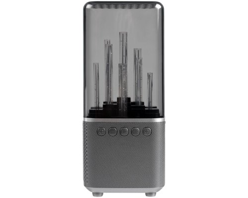 Wireless speaker with backlight Indivo citySound, black (13930.30)
