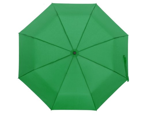 Зонт складной Molti Monsoon зеленый RA-133831