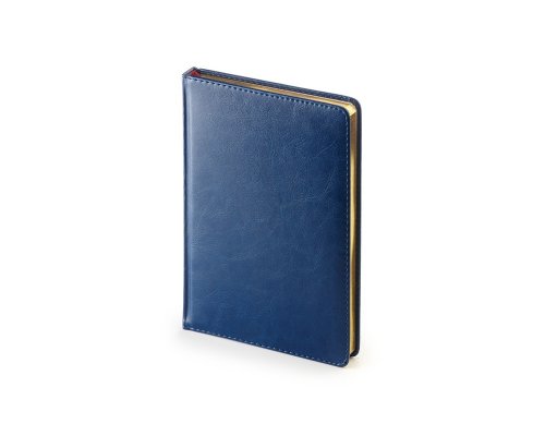 Набор подарочный: ручка шариковая Parker Jotter K160 Blue GT и ежедневник синий недатированный