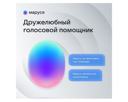Smart speaker VK Capsule Mini with voice assistant Marusia terracotta