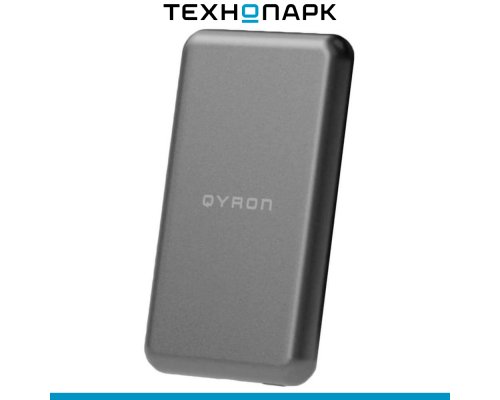 External battery Qyron PB301