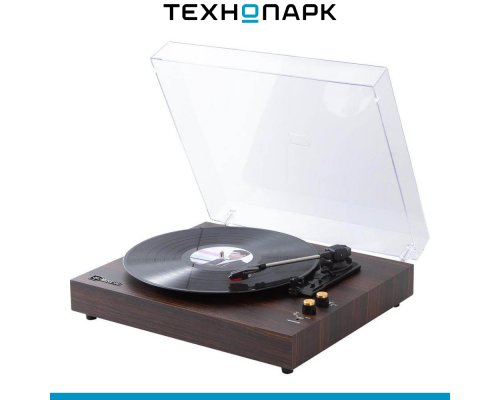 Vinyl Record Player Music Hall Concert NT