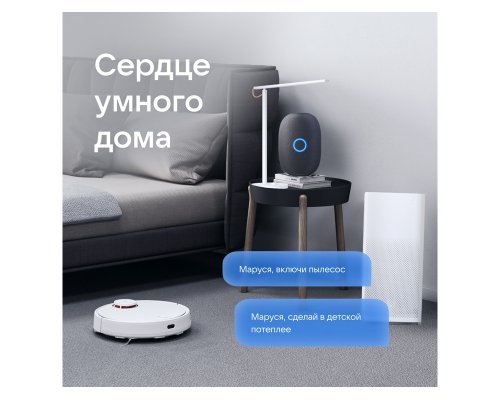 Колонка умная VK Капсула с голосовым помощником Марусей черный