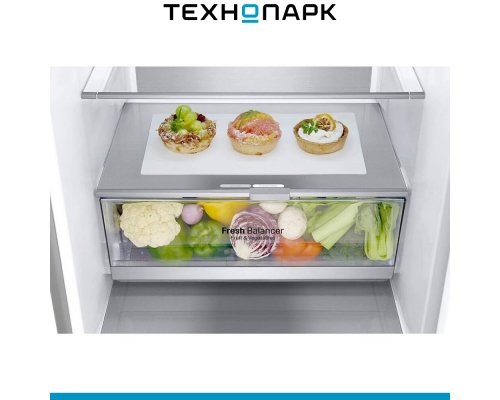 Fridge LG GA-B509SAUM