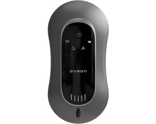 Window cleaner Qyron RW603