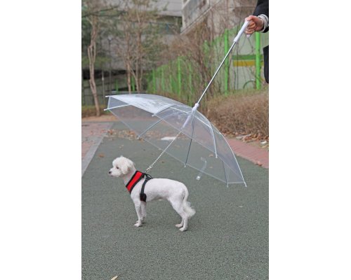 Зонт для собак Puppia прозрачный, 72 см RA-325215