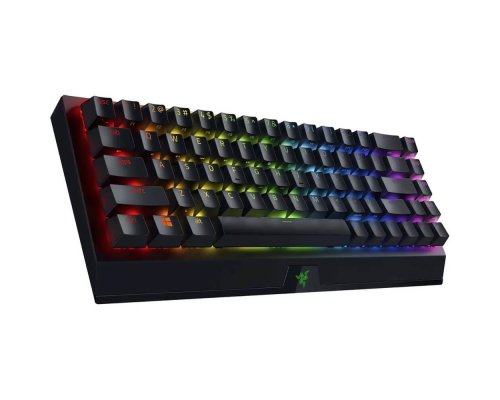 Клавиатура Razer BlackWidow V3 Mini Yellow Switch (RZ03-03890700-R3R1)