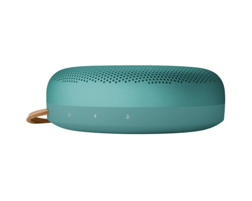 Акустика портативная Bang&Olufsen Beosound A1 3rd Gen зелёный эвкалипт