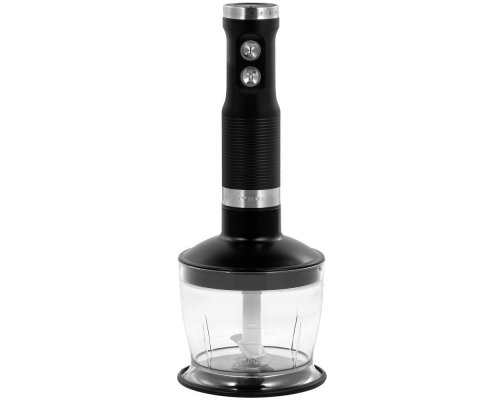 Blender Qyron BH602