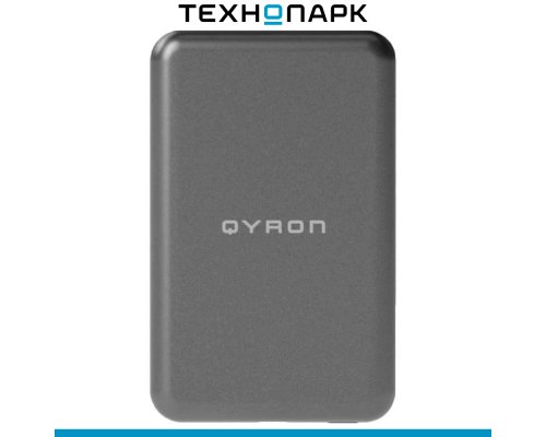 External battery Qyron PB301