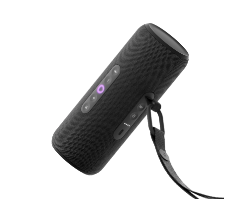 Portable smart speaker Yandex Station Street with Alice, black, YNDX-00030BLK