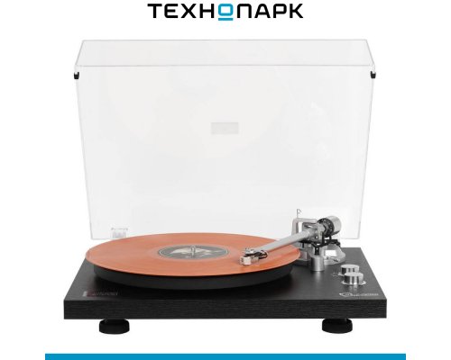 Vinyl record player Reproductor RP-LPX500SPBK