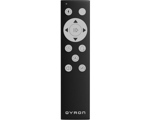 Window cleaner Qyron RW603