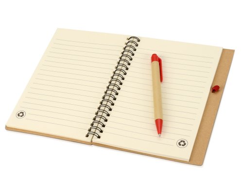 Gift set Essentials with USB flash drive and A5 notebook with pen, red (700321.01)