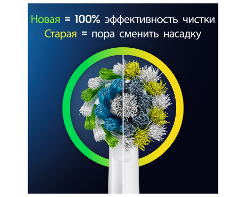 Electric toothbrush Oral-B Pro Series 1 Duo/D305.523.3H black + turquoise