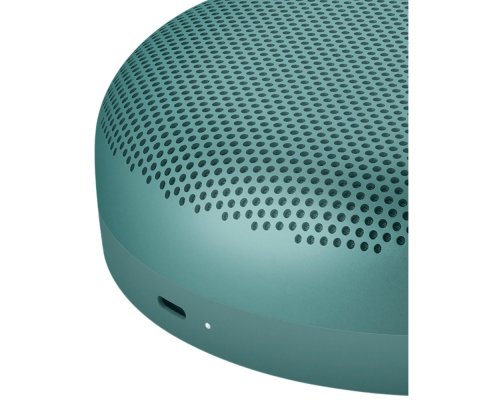 Акустика портативная Bang&Olufsen Beosound A1 3rd Gen зелёный эвкалипт