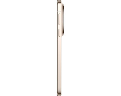 Смартфон Huawei Mate 80 Pro 512 ГБ золотой (51098SRB)