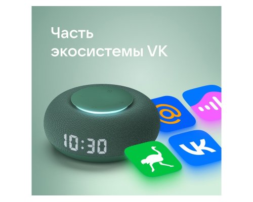 Smart speaker VK Capsule Mini with voice assistant Marusia coniferous green