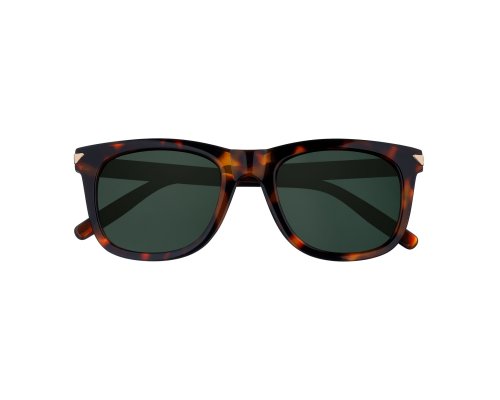 Sunglasses Zippo, unisex, polycarbonate frames, brown (OB203-3)