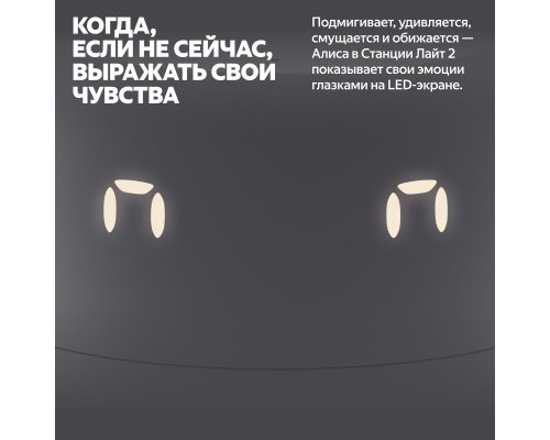 Колонка умная Яндекс Станция Лайт 2 на YaGPT YNDX-00026 (серый)