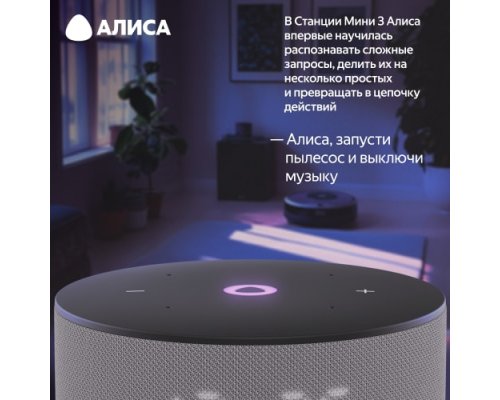 Колонка умная Яндекс Станция Мини 3 на YaGPT, модель YNDX-00027 (серый)