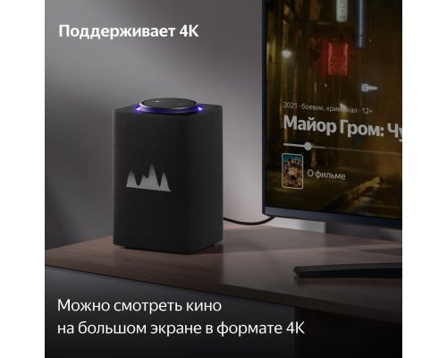 Smart speaker Yandex Station Max with Zigbee, YNDX-00053 (black)